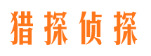 保山市场调查